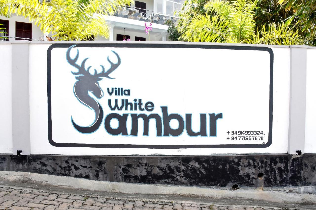 Villa De White Sambur Hikkaduwa Ngoại thất bức ảnh